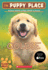 Goldie (the Puppy Place)