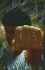 Fight Game