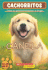 Canela / Goldie