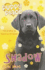 Shadow (Puppy Place)