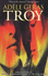 Troy (Point)