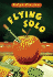 Flying Solo