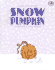 Snow Pumpkin