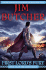 First Lord's Fury (Codex Alera, Book 6)