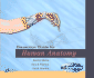 Dissection Guide for Human Anatomy