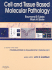 Cell and Tissue Based Molecular Pathology: a Volume in the Foundations in Diagnostic Pathology Series