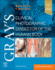 Gray's Clinical Photographic Dissector of the Human Body: 3ed