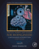 Circuits, Signals, and Systems for Bioengineers: a Matlab-Based Introduction (Biomedical Engineering)