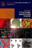 Systems Self-Assembly: Multidisciplinary Snapshots