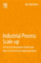 Industrial Process Scale-Up
