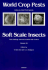 Soft Scale Insects