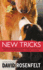 New Tricks (the Andy Carpenter Series, 7)