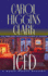 Iced (Regan Reilly Mysteries, No. 3)