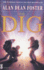 The Dig