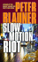 Slow Motion Riot
