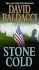 Stone Cold (Camel Club Series)
