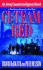 Ci: Team Red: an Army Counterintelligence Novel