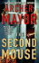 The Second Mouse (Joe Gunther Mysteries)