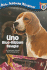 Uno: Blue-Ribbon Beagle (All Aboard Reading)