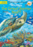 Where is the Great Barrier Reef?