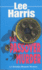 The Passover Murder: a Christine Bennett Mystery