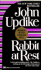 Rabbit at Rest