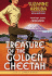 Treasure of the Golden Cheetah: a Jade Del Cameron Mystery