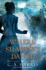 Where Shadows Dance: a Sebastian St. Cyr Mystery