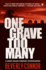 One Grave Too Many (Diane Fallon Forensic Investigation, No. 1)