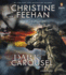 Dark Carousel (Carpathian Novel, a)