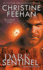 Dark Sentinel (a Carpathian Novel)