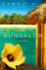 The Bungalow: a Novel