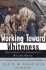 Working Toward Whiteness: How Americas Immigrants Became White: the Strange Journey From Ellis Island to the Suburbs