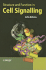 Structure and Function in Cell Signalling