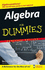 Algebra for Dummies, Portable Edition