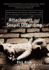Attachment and Sexual Offending: Understanding and Applying Attachment Theory to the Treatment of Juvenile Sexual Offenders