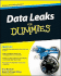 Data Leaks for Dummies