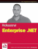 Professional Enterprise. Net