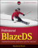 Professional Blazeds: Creating Rich Internet Application With Flex and Java