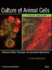 Culture of Animal Cells: a Manual of Basic Technique and Specialized Applications