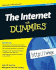 The Internet for Dummies