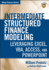 Intermediate Structured Finance Modeling, With Website: Leveraging Excel, Vba, Access, and Powerpoint (Wiley Finance)