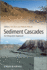 Sediment Cascades: an Integrated Approach