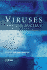 Viruses and the Nucleus