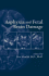 Asphyxia and Fetal Brain Damage
