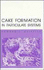Cake Formation in Particulate Systems