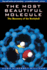 The Most Beautiful Molecule: the Discovery of the Buckyball [Paperback] Aldersey-Williams, Hugh