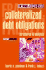 Collateralized Debt Obligations: Structures and Analysis (Frank J. Fabozzi Series)