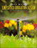Simplified Irrigation Design