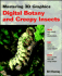 Mastering 3d Graphics: Digital Botany and Creepy Insects